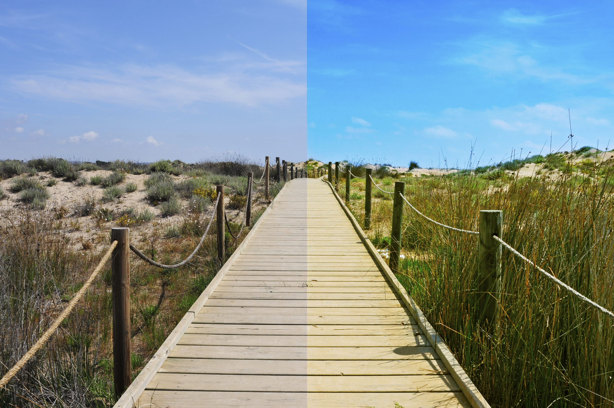 Digital Image Editing Basics